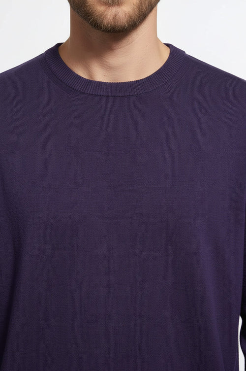 Crew Neck Long Sleeves Plain Purple Men Knitwear - Wessi