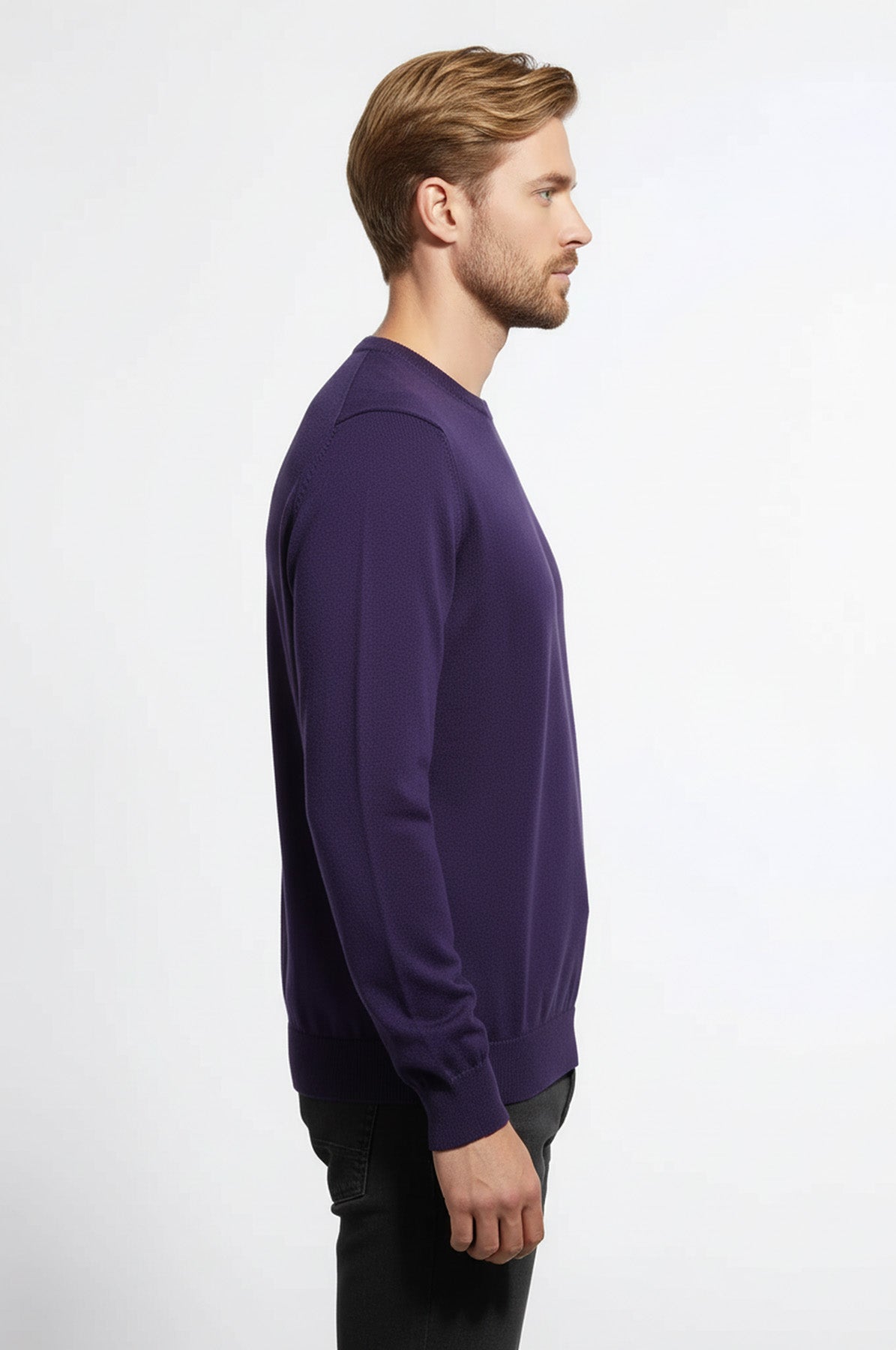 Crew Neck Long Sleeves Plain Purple Men Knitwear - Wessi