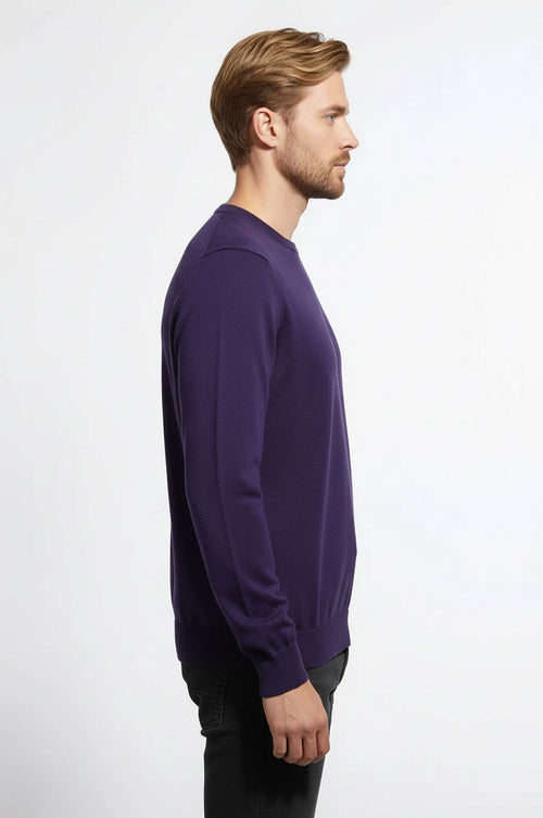 Crew Neck Long Sleeves Plain Purple Men Knitwear - Wessi