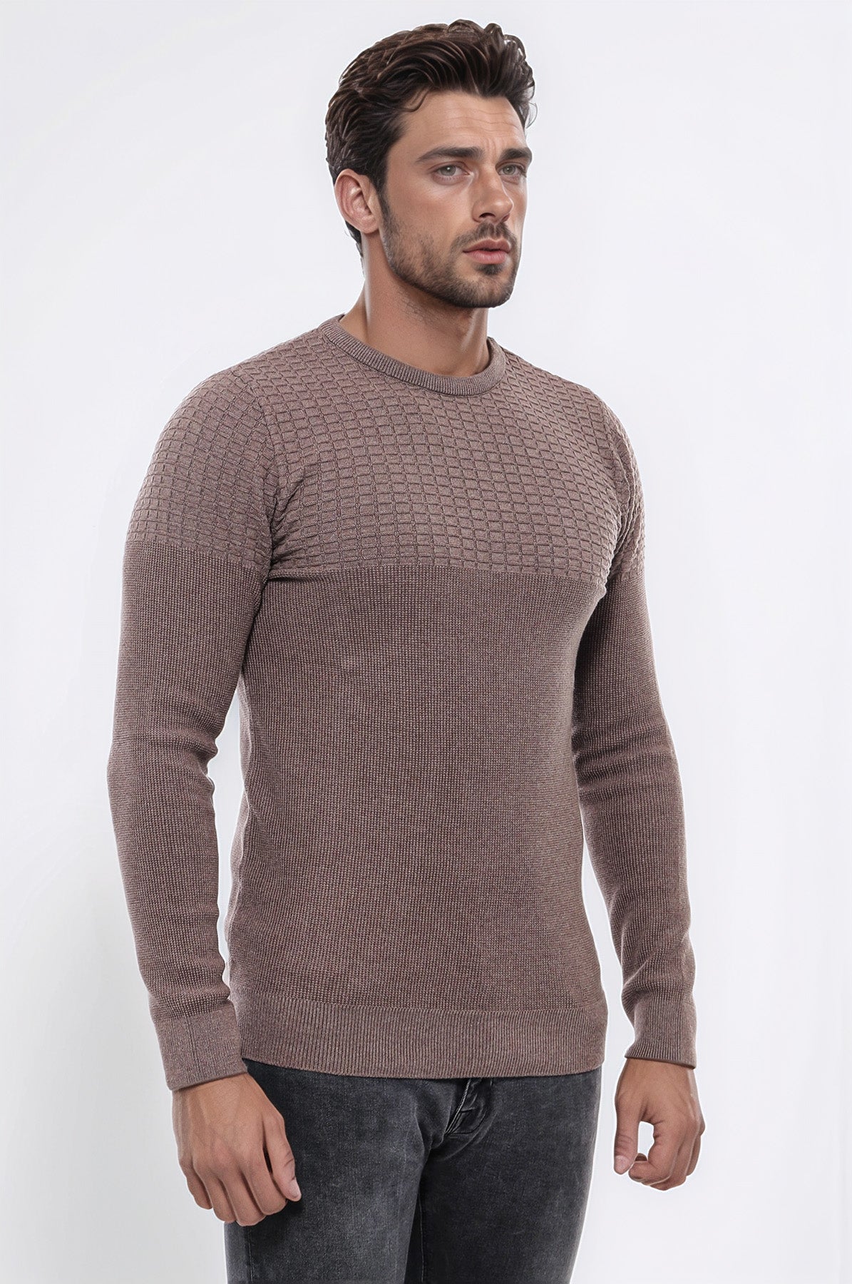 Circle Neck Patterned Mink Men Knitwear - Wessi