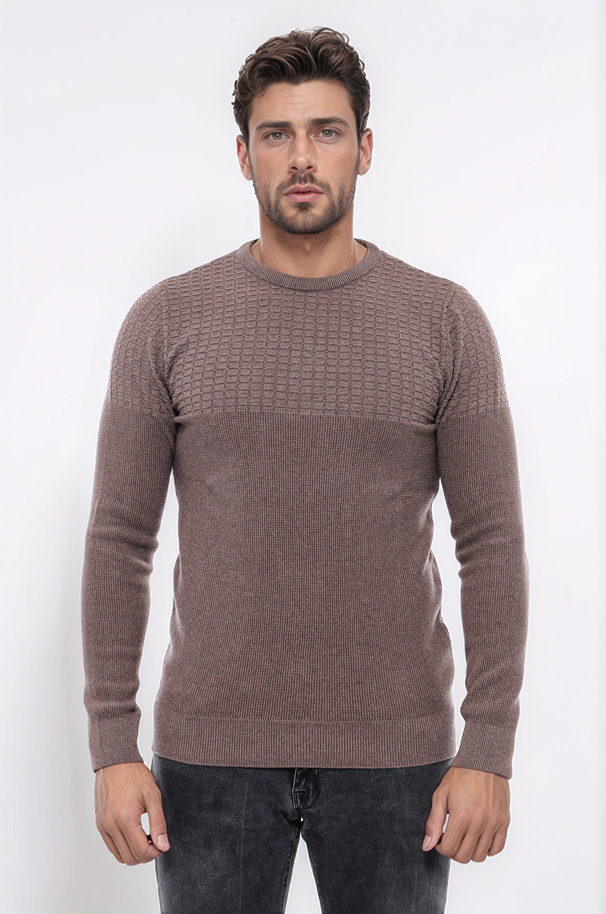 Circle Neck Patterned Mink Men Knitwear - Wessi
