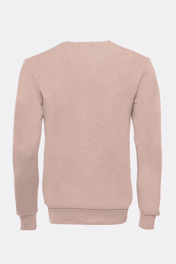 Beige Plain Circle Neck Sweatshirt - Wessi